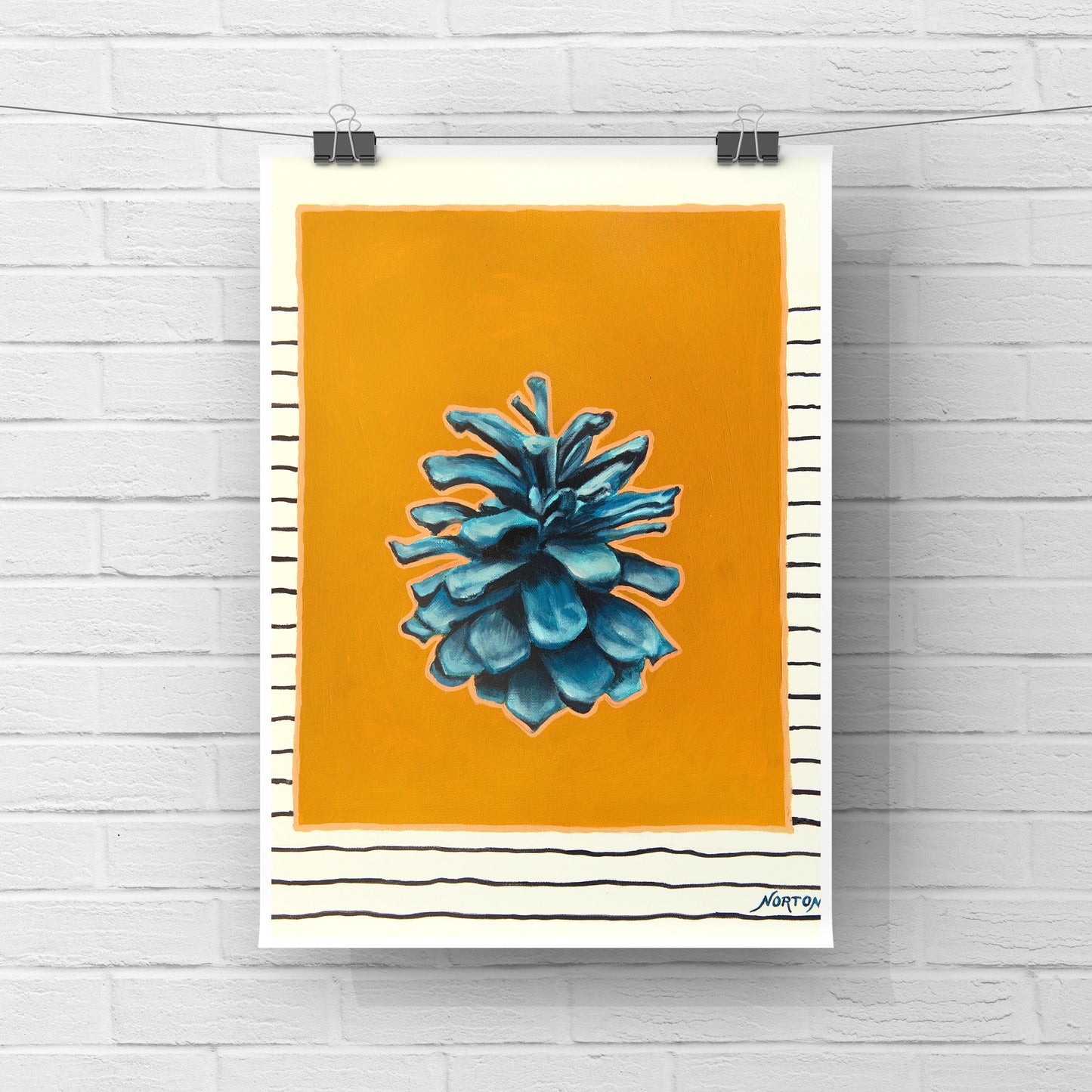 Blue Spruce